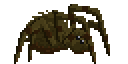 enemy_spider_idle